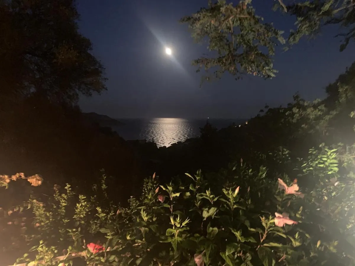 Villa Matteo Sea View 托雷德尔斯泰尔